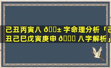 己丑丙寅八 🐱 字命理分析「己丑己巳戊寅庚申 🐈 八字解析」